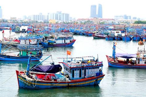 Thách thức và hướng đi bền vững
