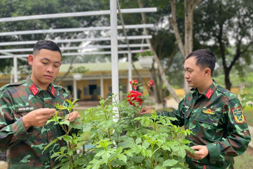 Sư đoàn 968 (Quân khu 4) chuẩn bị chu đáo để bộ đội vui xuân, đón Tết
