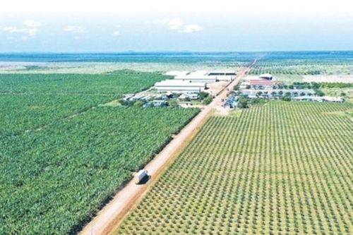 Doanh thu giảm 24%, Hoàng Anh Gia Lai (HAG) giải thể thêm 1 công ty con