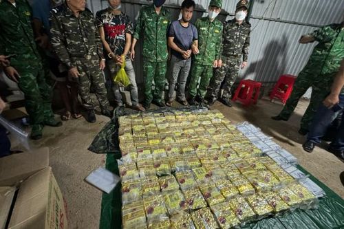 Tổng cục Hải Quan tham gia bắt giữ gần 300 vụ, thu giữ gần 2,3 tấn ma túy các loại trong năm 2024
