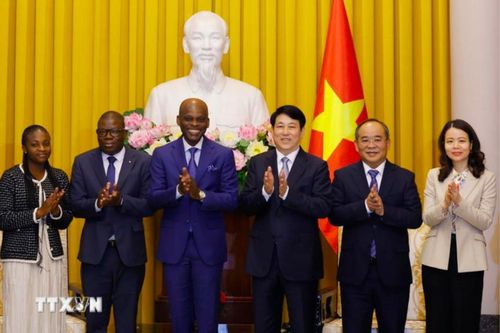 Togo luôn ngưỡng mộ và ủng hộ Việt Nam
