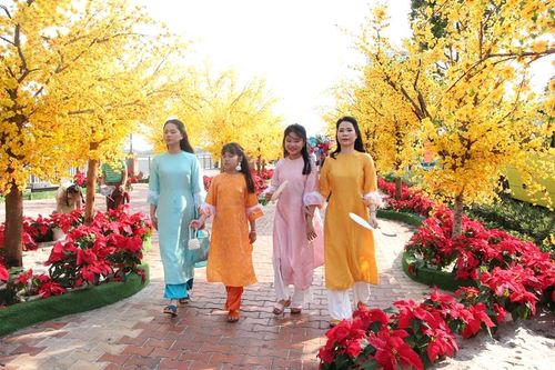 Đà Nẵng dự kiến tổ chức đường hoa xuân kéo dài gần 5 tháng