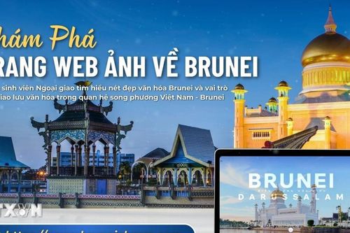 Việt Nam hỗ trợ Brunei quảng bá hình ảnh đất nước, con người qua web ảnh