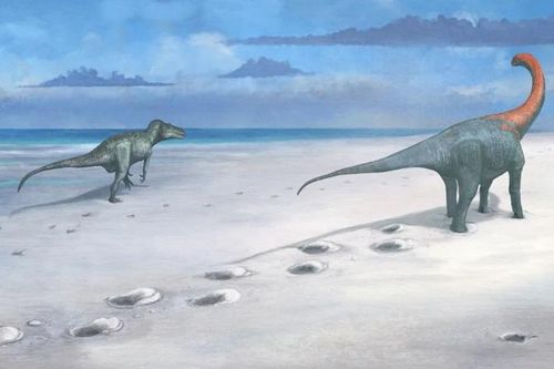 Phát hiện 'xa lộ khủng long' có từ 166 triệu năm trước