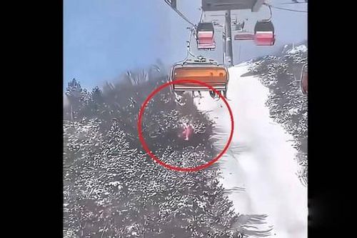 Đang ngồi cáp treo với mẹ, bé gái bất ngờ rơi xuống đất
