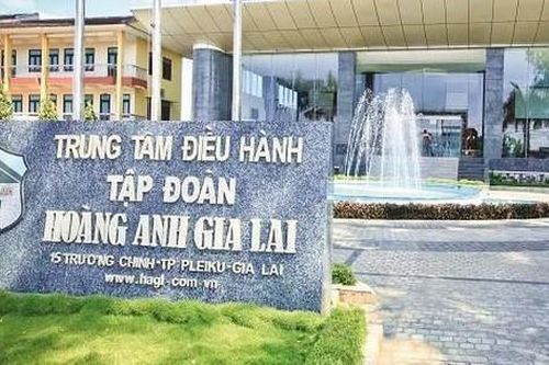 Hoàng Anh Gia Lai giải thể công ty con