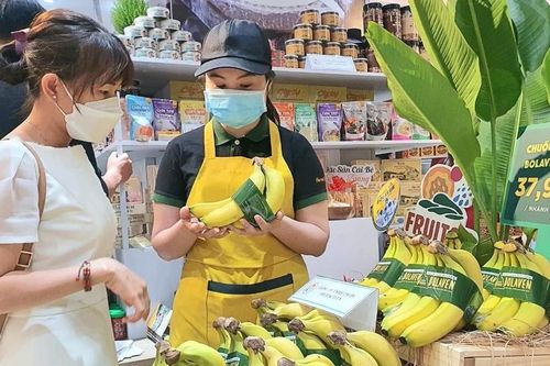 Hoàng Anh Gia Lai giải thể công ty con