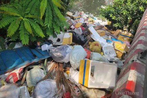 TP. Hồ Chí Minh: Rác thải 'bủa vây' quận Bình Thạnh