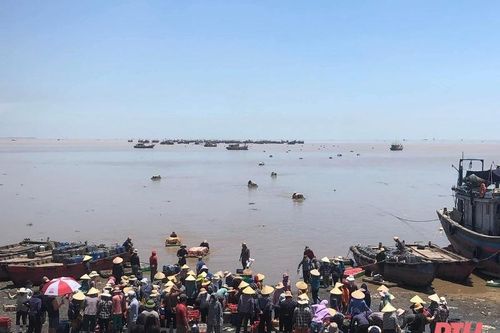Làng biển Ngư Lộc hối hả chuẩn bị hàng phục vụ tết