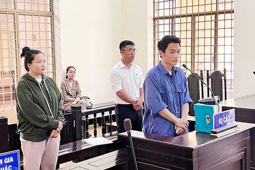 Kẻ bán, người mua chứng chỉ giả đều chịu tội