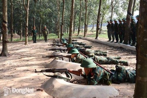 Lữ đoàn 96, Binh chủng Pháo binh tập huấn cho cán bộ huấn luyện năm 2025