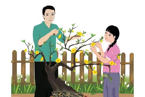 Lặt lá mai đón Tết