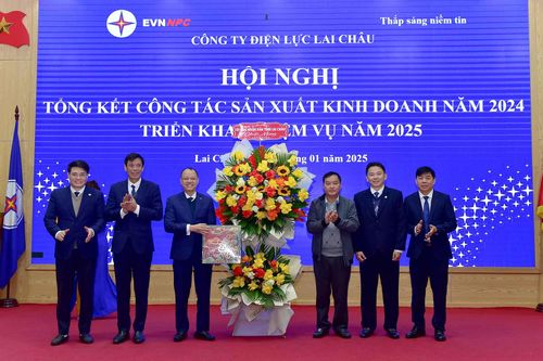 Công ty Điện lực Lai Châu: Hội nghị tổng kết năm 2024