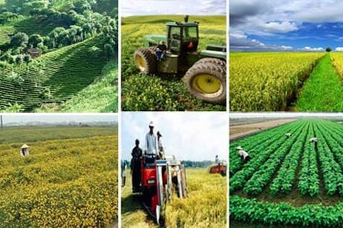 Chỉ đạo, điều hành của Chính phủ, Thủ tướng Chính phủ ngày 9/1/2025