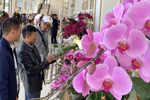 Chiến lược phát triển ngành hoa bền vững