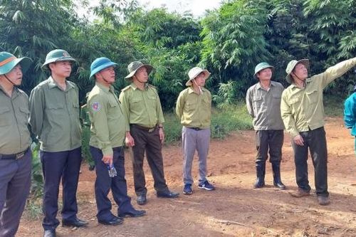 Đam Rông tập trung thực hiện 3 nhiệm vụ trọng tâm về quản lý, bảo vệ, phát triển rừng