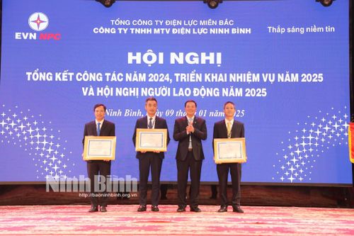 Công ty TNHH MTV Điện lực Ninh Bình triển khai nhiệm vụ công tác năm 2025