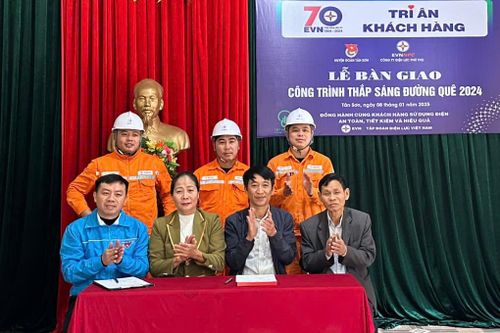 Bàn giao công trình 'Thắp sáng đường quê' tại Tân Sơn
