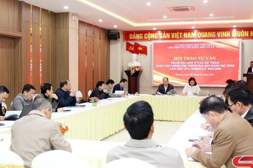 Hội thảo tư vấn tham gia vào Dự thảo báo cáo chính trị trình Đại hội Đảng bộ tỉnh lần thứ XVI
