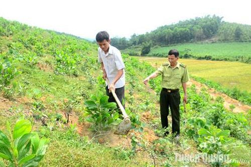 Năm 2025, toàn tỉnh có kế hoạch trồng mới 10.100 ha rừng