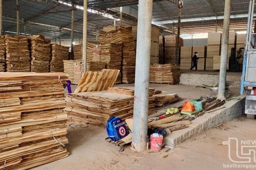 Phú Bình: 2 cơ sở chế biến lâm sản vi phạm về phòng cháy bị phạt 160 triệu đồng