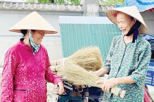 Giản dị chổi tranh lươn