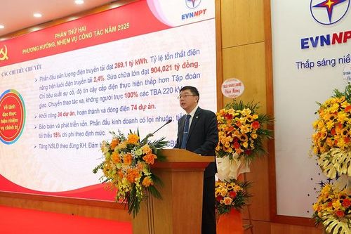Tổng công ty Truyền tải điện Quốc gia đã hoàn thành xuất sắc nhiệm vụ năm 2024