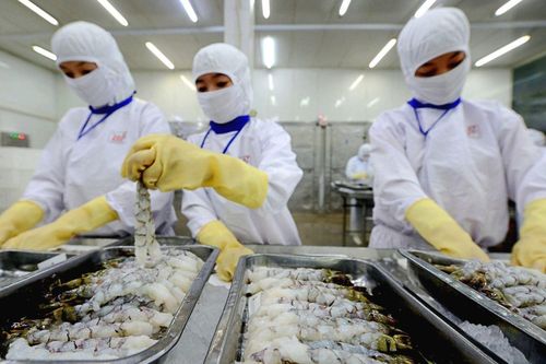 Chủ tịch Thực phẩm Sao Ta (FMC): Lãi năm 2024 có thể lập kỷ lục, hé lộ tiềm năng bứt phá