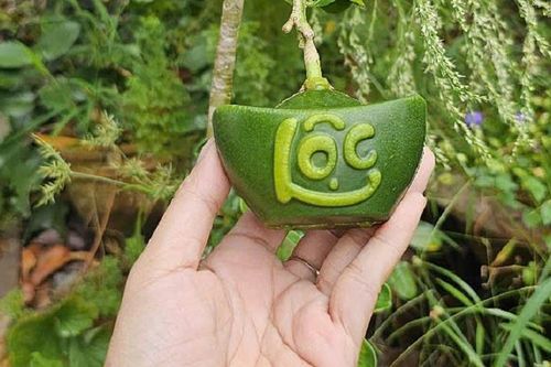 Nông sản độc lạ thờ Tết 'cháy hàng' dù có giá bán đắt gấp chục lần hàng thường