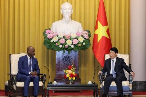 Chủ tịch nước Lương Cường tiếp Bộ trưởng Bộ Ngoại giao, Hội nhập khu vực và kiều dân nước Cộng hòa Togo Robert Dussey