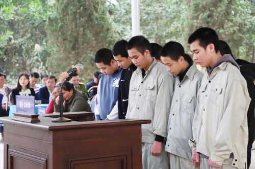 Xét xử lưu động 8 thanh niên 'hổ báo' càn quét đường phố