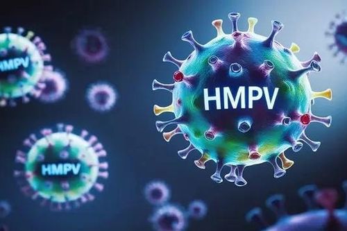 Bộ Y tế: Chưa có tuyên bố khẩn cấp về virus HMPV