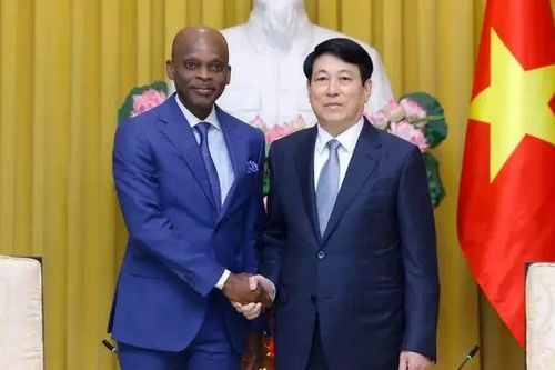 Chủ tịch nước Lương Cường tiếp Bộ trưởng Ngoại giao Togo
