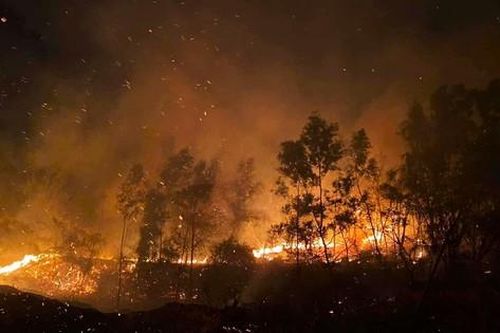 Cháy lớn trên núi gần chùa Phật Tích, Bắc Ninh