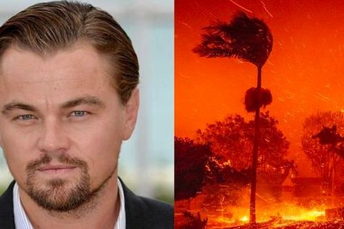 Leonardo DiCaprio và nhiều sao Hollywood mất nhà trong vụ cháy ở Los Angeles