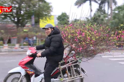 70 điểm chợ hoa dịp Tết tại Hà Nội diễn ra đến hết ngày 28/1/2025