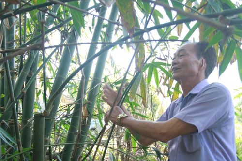 Những người 'giữ lửa' ở bản làng