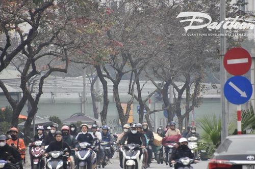 Ô nhiễm không khí làm tăng nguy cơ mắc các bệnh tim mạch, đột quỵ
