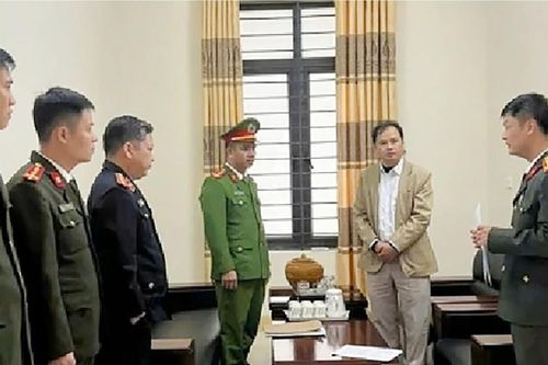 Khởi tố, bắt tạm giam Trưởng Ban quản lý rừng phòng hộ