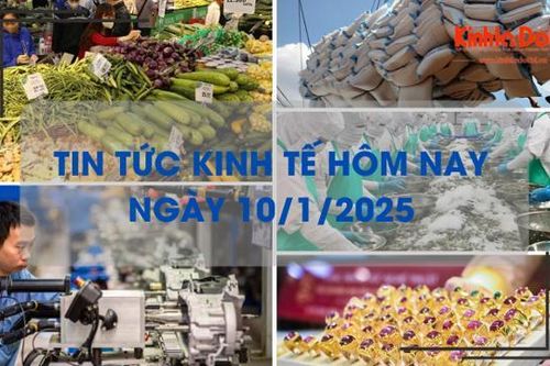 Tin tức kinh tế 10/1: xuất khẩu tôm năm 2024 đạt gần 4 tỷ USD