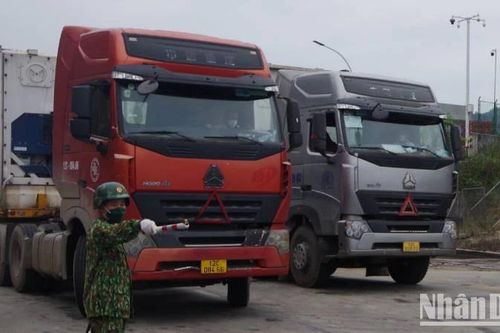 Lạng Sơn: Hoạt động xuất, nhập khẩu diễn ra sôi động