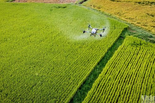 Đề xuất tăng đầu tư cho hoạt động bảo vệ môi trường nông thôn
