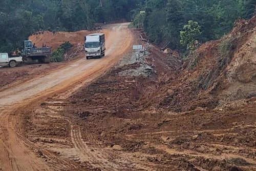Bình Thuận chuyển mục đích hơn 19,7ha rừng để cải tạo, nâng cấp Quốc lộ 28B