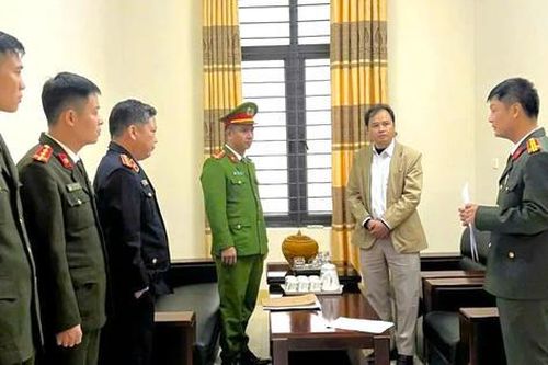 Bắt trưởng ban quản lý rừng phòng hộ ở Nghệ An