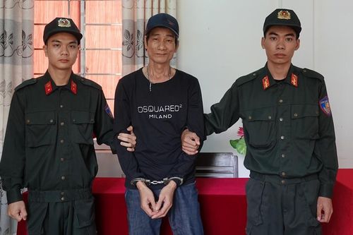 Người làm thuê trộm 26 cây giáng hương khi biết chủ vườn đi chấp hành án