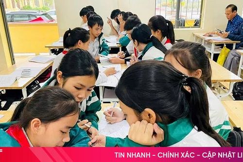 988 thí sinh đạt giải kỳ thi học sinh giỏi tỉnh lớp 9