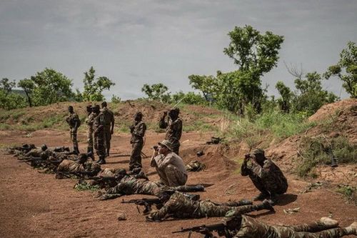 Tấn công vũ trang ở biên giới Benin, ít nhất 28 binh sỹ thiệt mạng