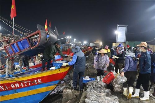 Nhộn nhịp chợ hải sản đêm cuối năm ở miền chân sóng Nghệ An