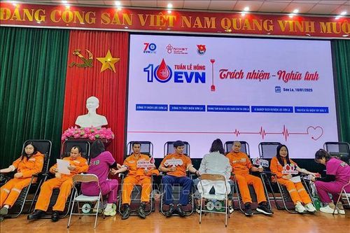 Lan tỏa tuần lễ hồng EVN lần thứ X: Trách nhiệm - Nghĩa tình