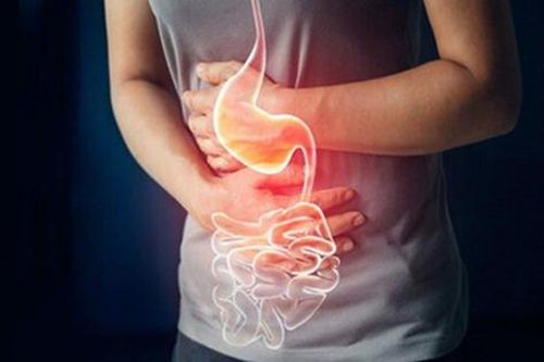 Phát hiện hàng trăm con giun bám trắng ruột người phụ nữ